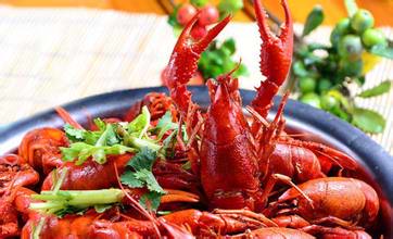 食品安全檢測儀