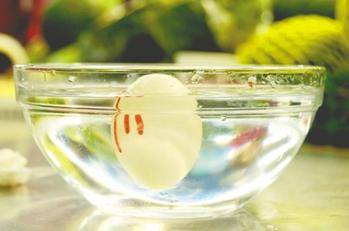 雞蛋新鮮度檢測